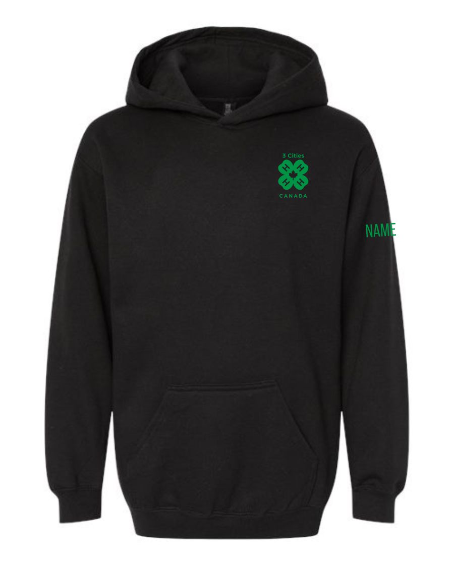 Youth Hoodie